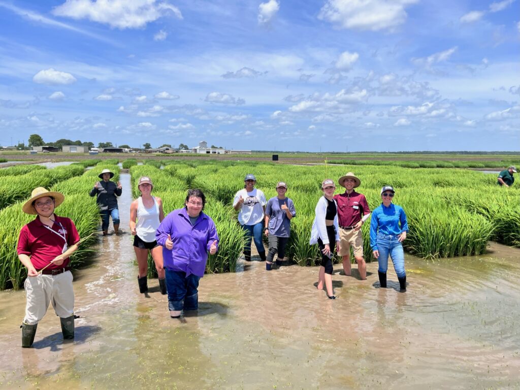group of people standing in water in a field