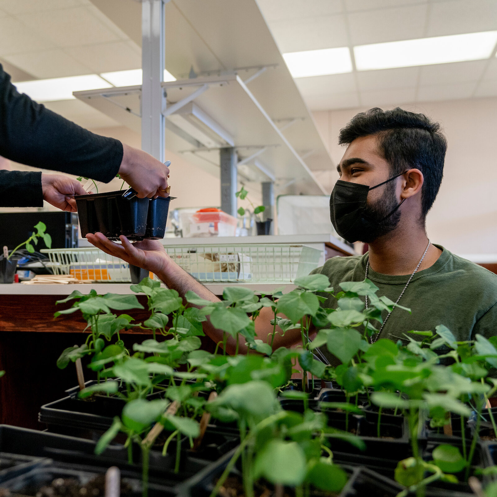 person with hand out taking plants from someone else with other plants in front of him