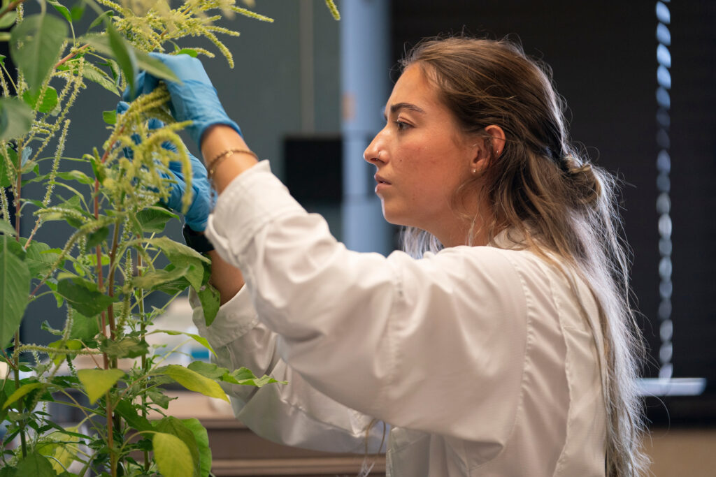Girl handling a plant in a la setting using blue gloves.