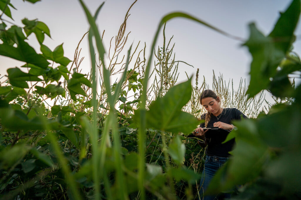 woman taking notes in a field of weeds