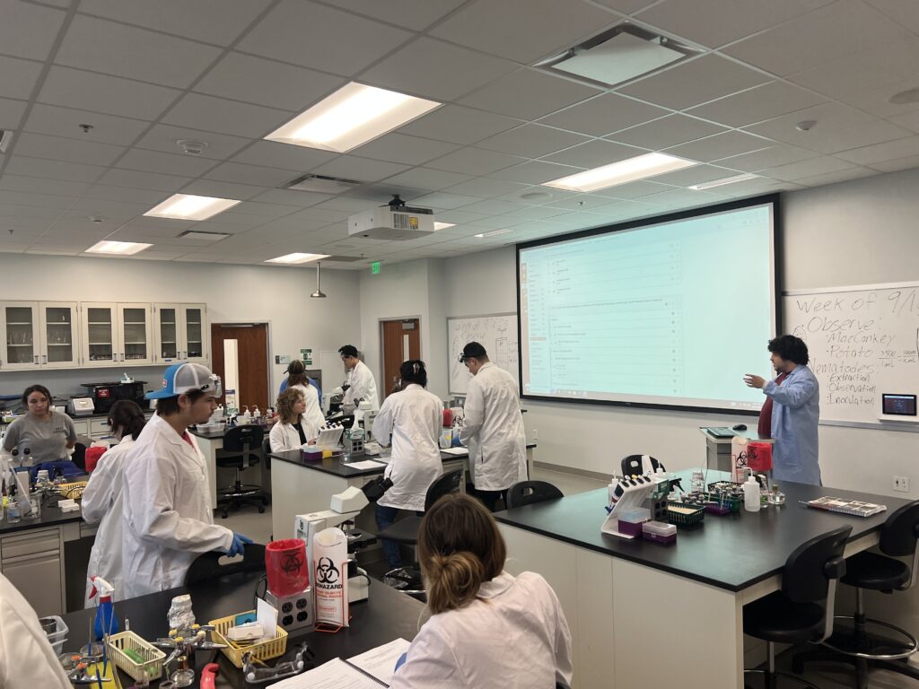 A class in their lab. The professor is at the front next to the screen while students are all at their desk. 